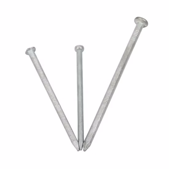 Q195 Material Iron Nail/Polished Nail/Galvanized Nail/Hot Dipped Galvanized Nail/ Hardware Nail/Building Nail/Construction Nail