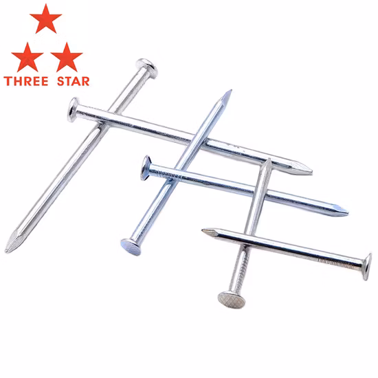 Q195 Material Iron Nail/Polished Nail/Galvanized Nail/Hot Dipped Galvanized Nail/ Hardware Nail/Building Nail/Construction Nail