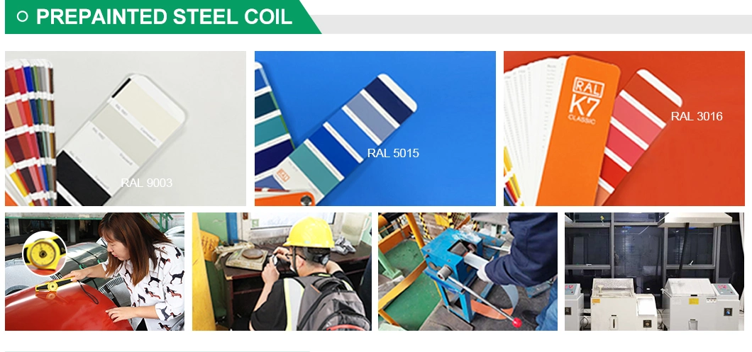 0.9 mm Prepainted Gi Steel Coil PPGI Color Coated Galvanized Steel Sheet in Coil