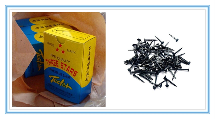 Factory Wholesale 1&quot;-4&quot; Galvanized Black White Concrete / Roofing / Shoe Tack / Common / Nails for Africa Nigeria / Ethiopia Market with White Blue Color