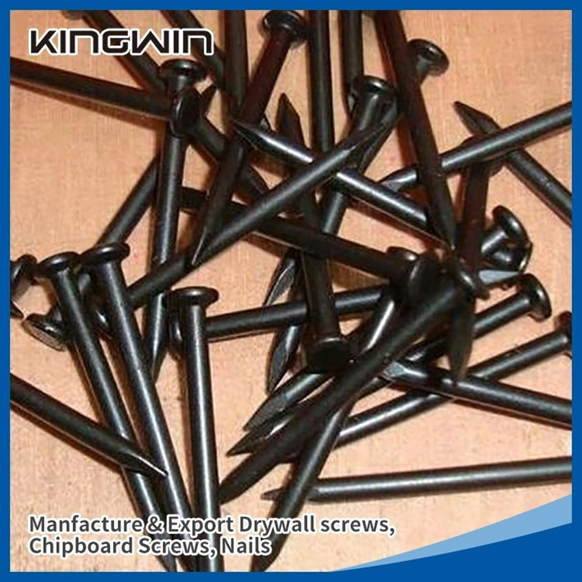 Factory Wholesale 1&quot;-4&quot; Galvanized Black White Concrete / Roofing / Shoe Tack / Common / Nails for Africa Nigeria / Ethiopia Market with White Blue Color