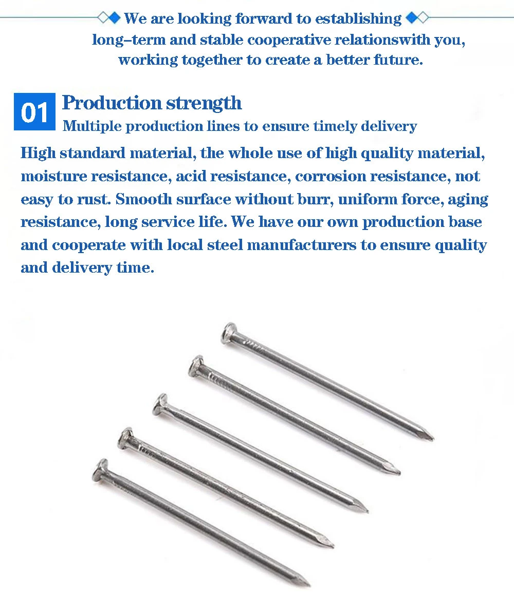 Hardware Fastener Screw Common Roofing Nail Galvanized Roofing Nails