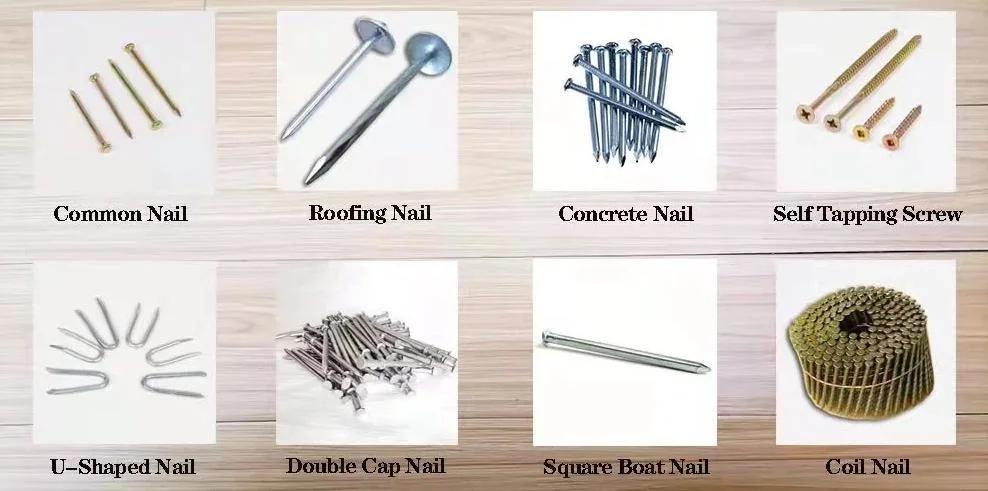 Q195 3/4&quot; to 6&quot; Harden Good Quanlity Polished Nail/Galvanized Iron Nail/ Wire Nail/Wooden Nail/Roofing Nail/Concrete Nail for Construction