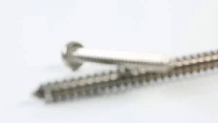 Made in China Stainless Steel J Screw Drywall Wood Roofing Tek Lag Screw Phillips Torx Chipboard Screw Machine Screw Self Tapping Self Drilling Screw