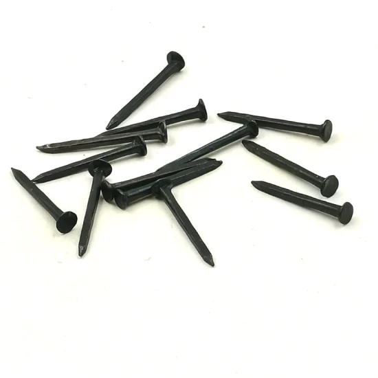 Hardware Other Supplies Stainless Steel Roofing Wire Nail Screw Three Stars Round Head Shoes Tacks Shoe Nails