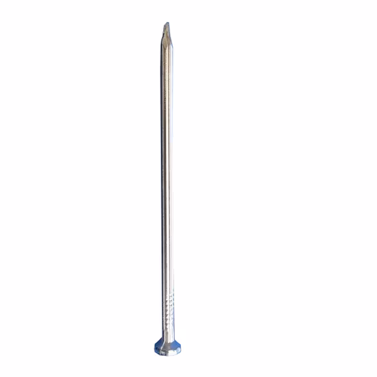 Hardware Fastener Electro Galvanized Steel Concrete Nails 3.0mm*40mm
